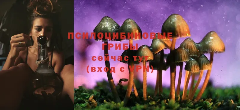 мориарти телеграм  МЕГА зеркало  Ардон  Псилоцибиновые грибы MAGIC MUSHROOMS 